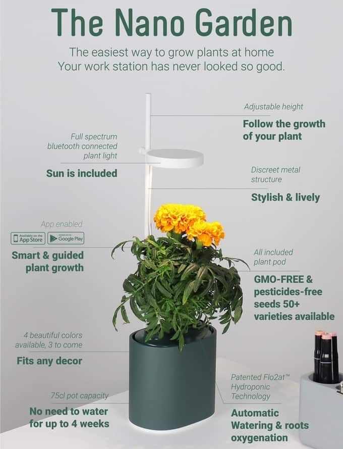 Image from Nano Garden - The Easiest Way to Grow Plants at Home