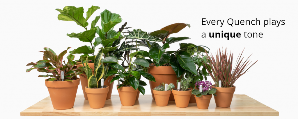 Image from Give Your Plants a Voice with the Quench Moisture Meter