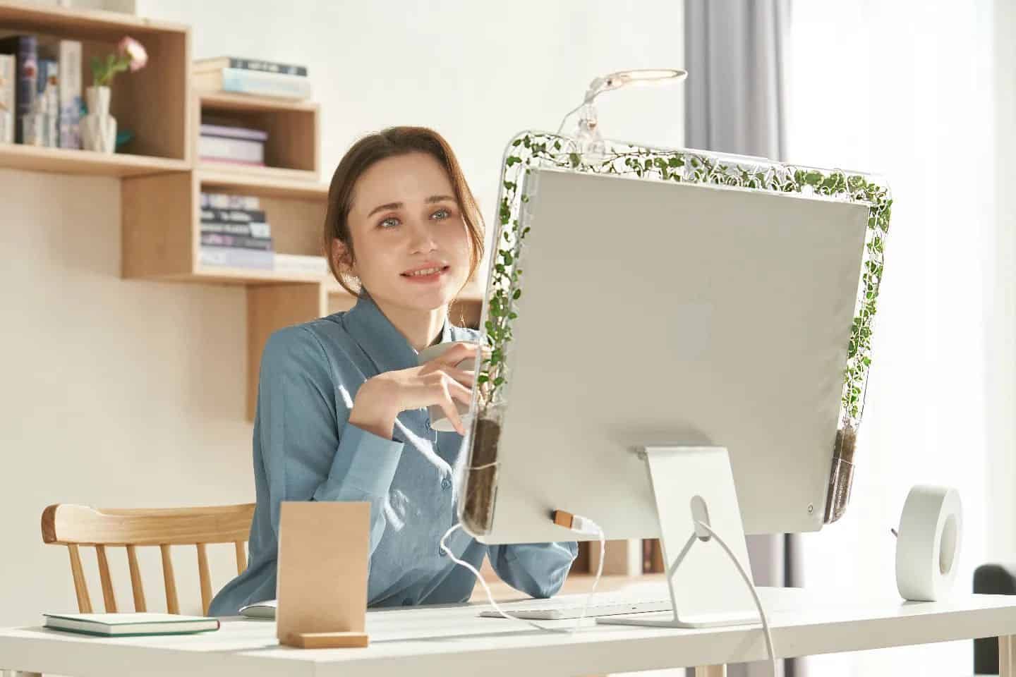 Seeing Green?  Monitree Brings Living Plants to Your Desktop Monitor