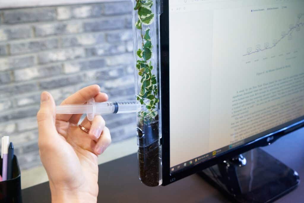 Image from Seeing Green?  Monitree Brings Living Plants to Your Desktop Monitor