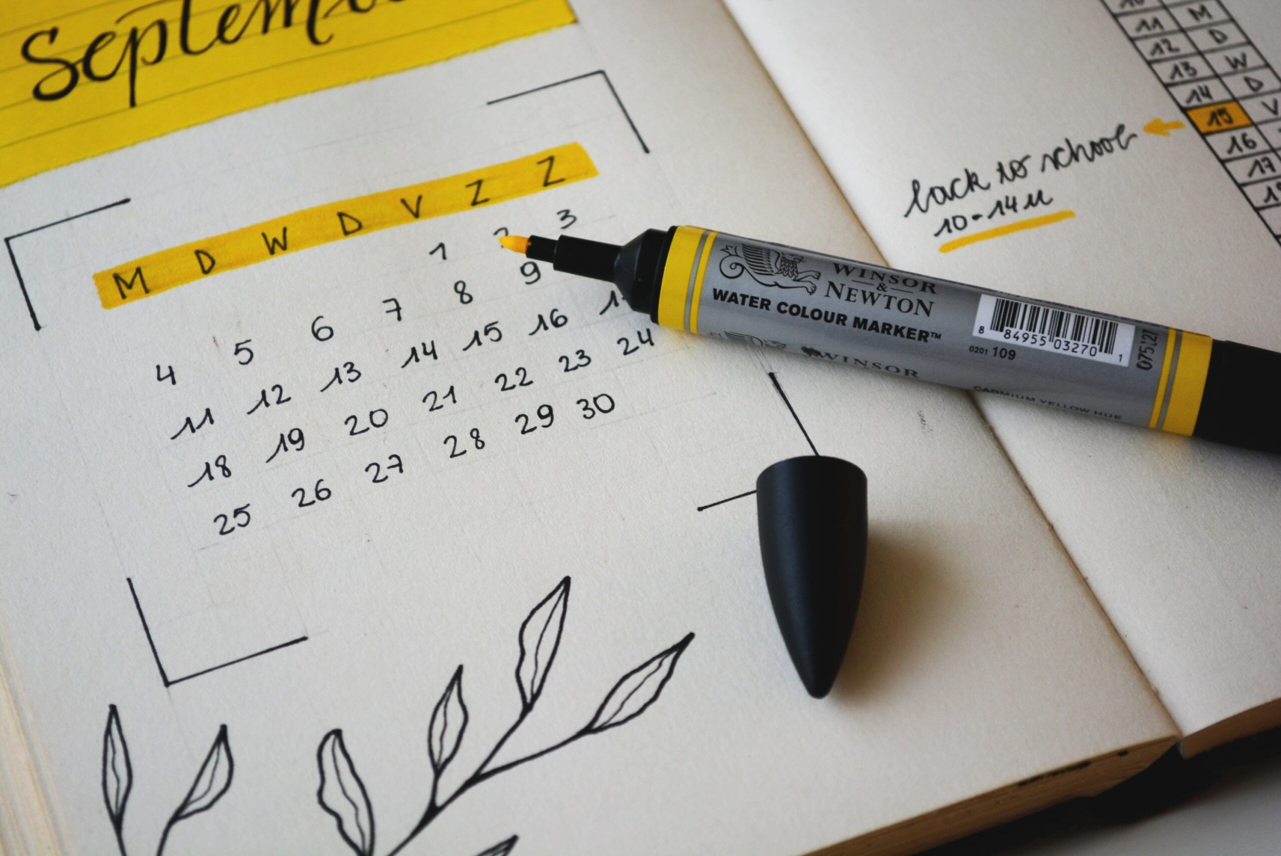 Image from Social Media Strategies for Your Crowdfunding Campaign