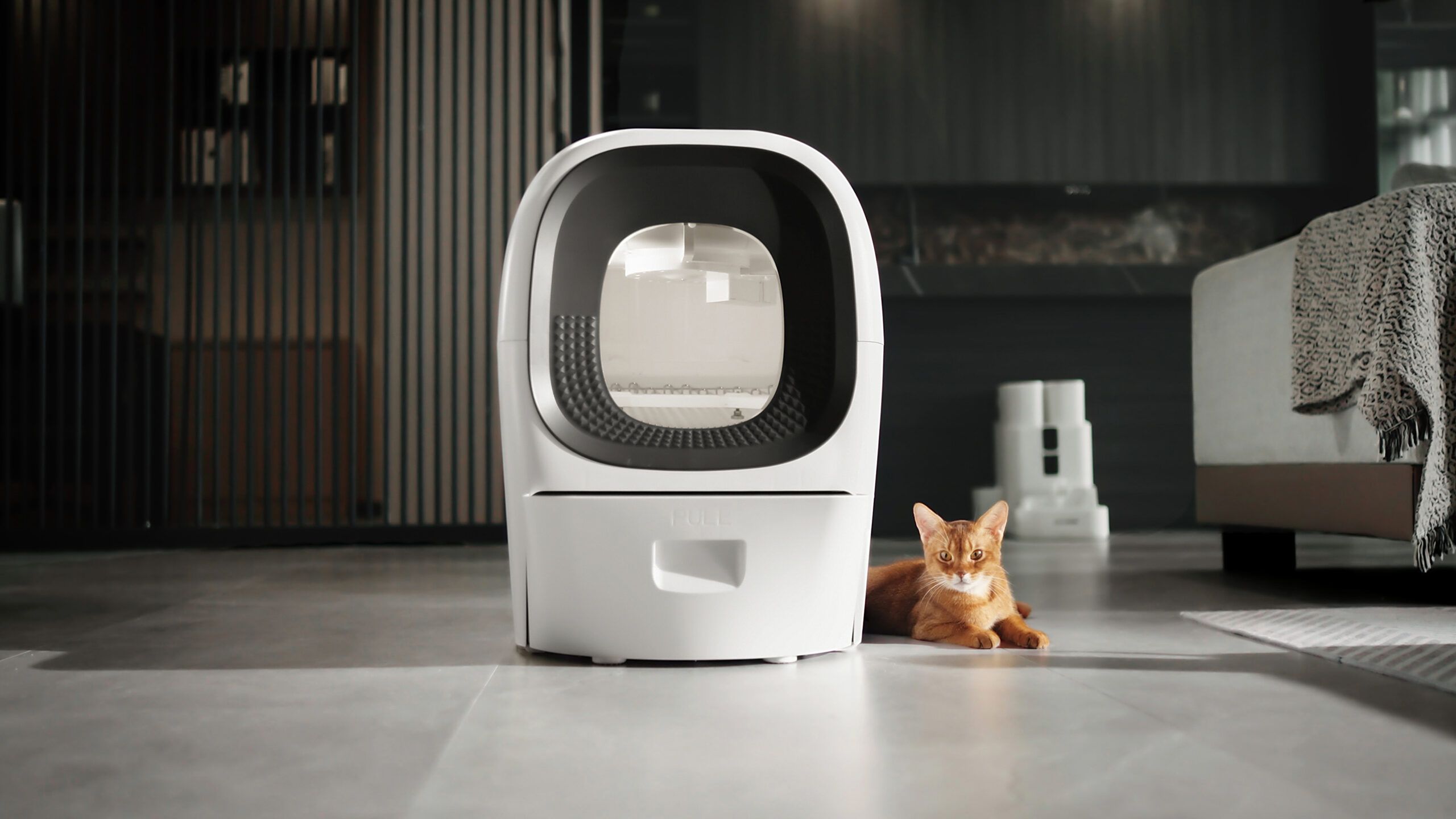 Kitty Litter No More: Real Scooper's Game-Changing Tech