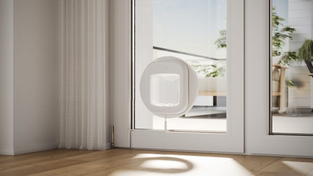 Image from No More Kitty Doorman Duties: Introducing Pawly Door