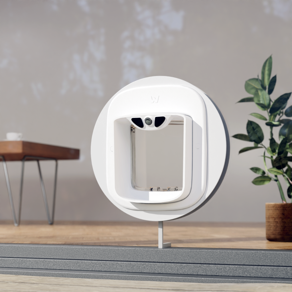 Image from No More Kitty Doorman Duties: Introducing Pawly Door