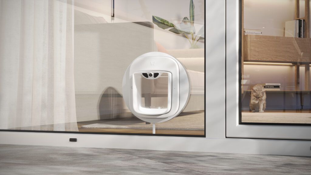 Image from No More Kitty Doorman Duties: Introducing Pawly Door