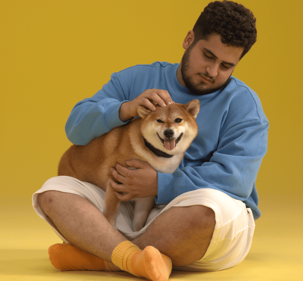 Image from The Collar That Speaks Dog: HushPuppy