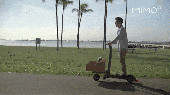 Image from This Transforming E-Scooter Has a Built-in Cargo Area
