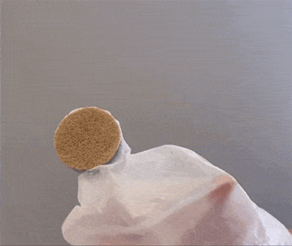 Image from Clean, Toss, Compost – TheShield Toilet Cleaner